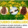 Aceite Puro de Hiperico bleu&marine Bretania 200ml 2 Cure Végétale – Aceite de Hipérico Anti Acné, Anti Rosácea, Hidratante, Antiinflamatorio, Anti Estrías (ref.701)