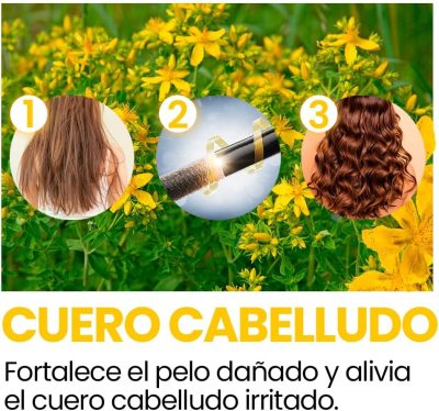 Aceite Puro de Hiperico bleu&marine Bretania 200ml 2 Cure Végétale – Aceite de Hipérico Anti Acné, Anti Rosácea, Hidratante, Antiinflamatorio, Anti Estrías (ref.701)
