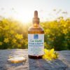 Cure Végétale Aceite de Hipérico Anti Acné Anti Rosácea Hidratante Antiinflamatorio Anti Estrías 100ml (ref.701) Cure Végétale Aceite de Hipérico Anti Acné Anti Rosácea Hidratante Antiinflamatorio Anti Estrías 100ml (ref.701)