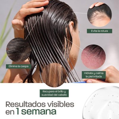 aloe vera jengibre 2 Gel de Aloe Vera y Jengibre – Hidratante, reafirmante y refrescante, con aloe de hoja fresca de cultivo ecológico en España – Cara, Cuerpo y Cabello –Afeitarse Después del sol, Piernas (ref.1066)