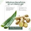 aloe vera jengibre 3 Gel de Aloe Vera y Jengibre – Hidratante, reafirmante y refrescante, con aloe de hoja fresca de cultivo ecológico en España – Cara, Cuerpo y Cabello –Afeitarse Después del sol, Piernas (ref.1066)