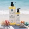 comprar gel limpiador mer controle bleu marine bretania gel limpieza profunda mejor precio cosmetica profesional online limpiador facial piel grasa oferta comprar gel limpiador mer controle bleu marine bretania gel limpieza profunda mejor precio cosmetica profesional online limpiador facial piel grasa oferta
