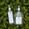 comprar hidrolato arbol del te online bleu marine bretania mejor agua de tea tree precio tonico natural acne cosmetica bio bmb essential tienda estetica comprar hidrolato arbol del te online bleu marine bretania mejor agua de tea tree precio tonico natural acne cosmetica bio bmb essential tienda estetica