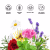hidrolato natural hidrolato natural