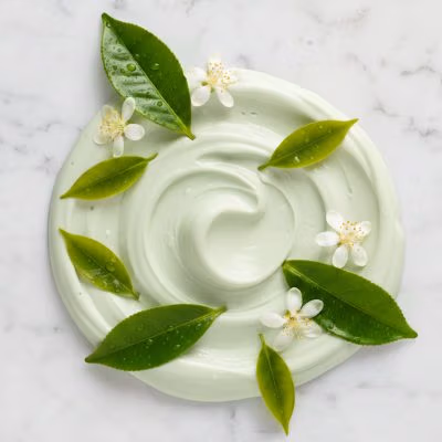 mascarilla facial peel off con arbol de te para que sirve mejor mascarilla plastica purificante profesional donde comprar mascarillas de alginatos para acne mascarilla facial peel off con arbol de te para que sirve mejor mascarilla plastica purificante profesional donde comprar mascarillas de alginatos para acne